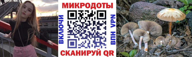 купить наркотики цена  Нижняя Салда  Галлюциногенные грибы мицелий 