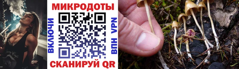 Галлюциногенные грибы мухоморы Нижняя Салда